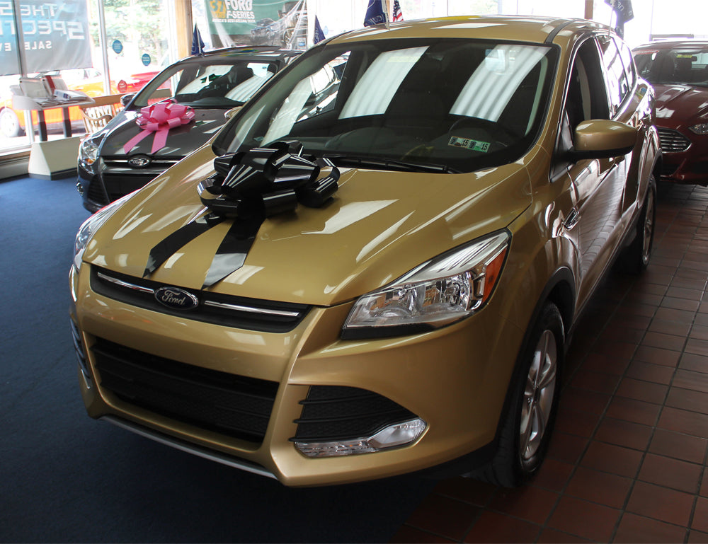 22 Inch Car Bow
