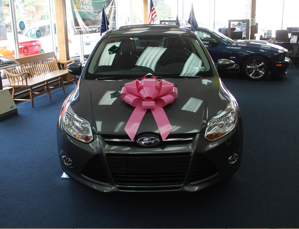 22 Inch Car Bow