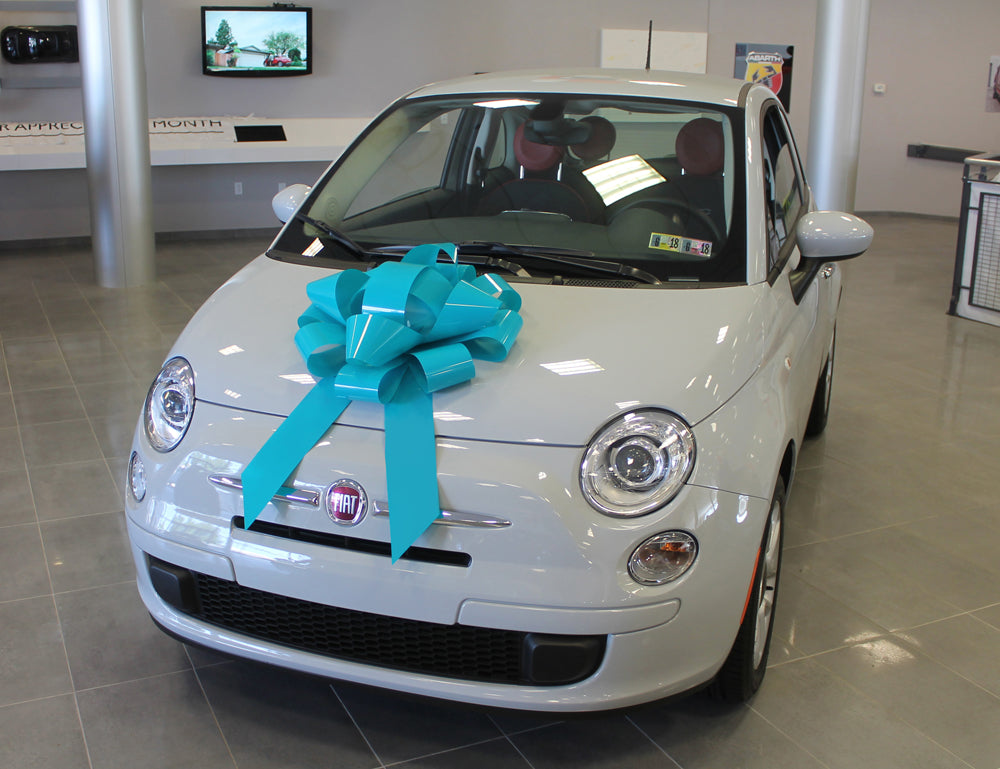 22 Inch Car Bow