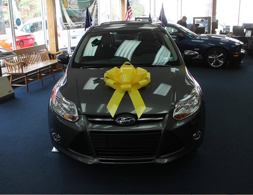 22 Inch Car Bow