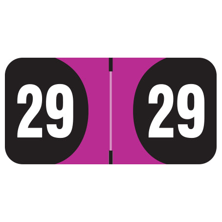 Arden Year 29 Labels, 3/4" X 1-1/2" Laminated - Roll of 500