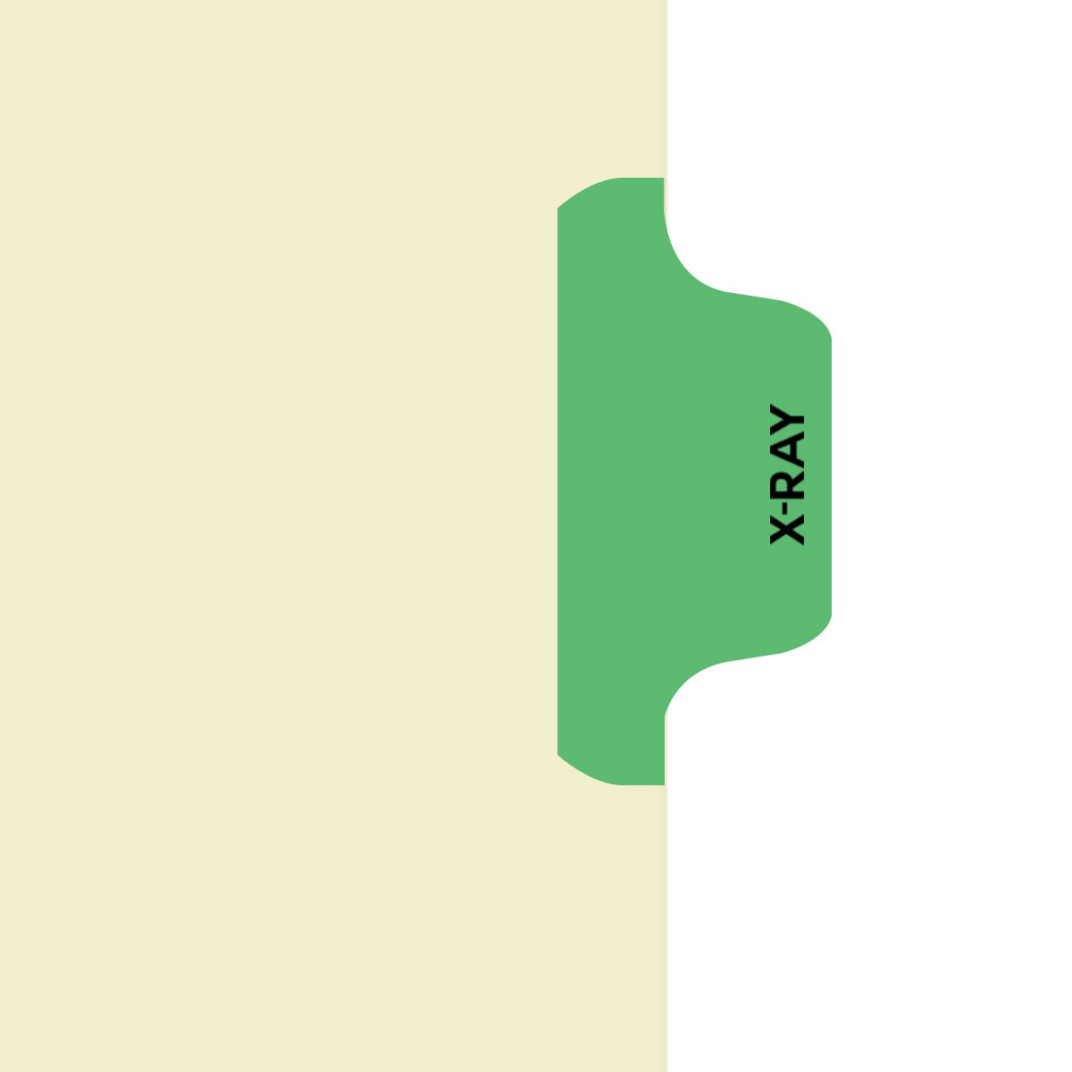 Individual Fileback Divider Tabs, Side Flap, Side Tabs, X-Ray, Light Green, Side Tab 1/8th Cut, Pos #4 (Pack of 50)