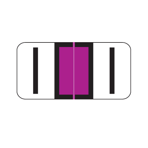 Reynolds & Reynolds Alpha I Labels 3/4" x 1-1/2" Laminated- Pack of 240