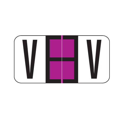 Reynolds & Reynolds Alpha V Labels 3/4" x 1-1/2" Laminated- Pack of 240