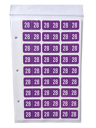 Reynolds & Reynolds Year 28 Labels, 3/4" X 1-1/2" Laminated- Pack of 270
