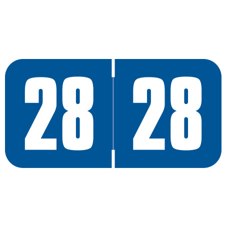Safeguard Year 28 Labels, 3/4" X 1-1/2" Laminated- Roll of 500