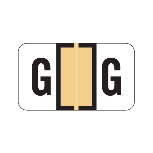 Safeguard 511 "G" Labels 15/16" X 1-5/8" Laminated- Ring Binder Pack of 240