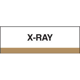 Stick On Index Tabs, X-RAY 1-1/2" X 1-1/4" (Pack of 100)