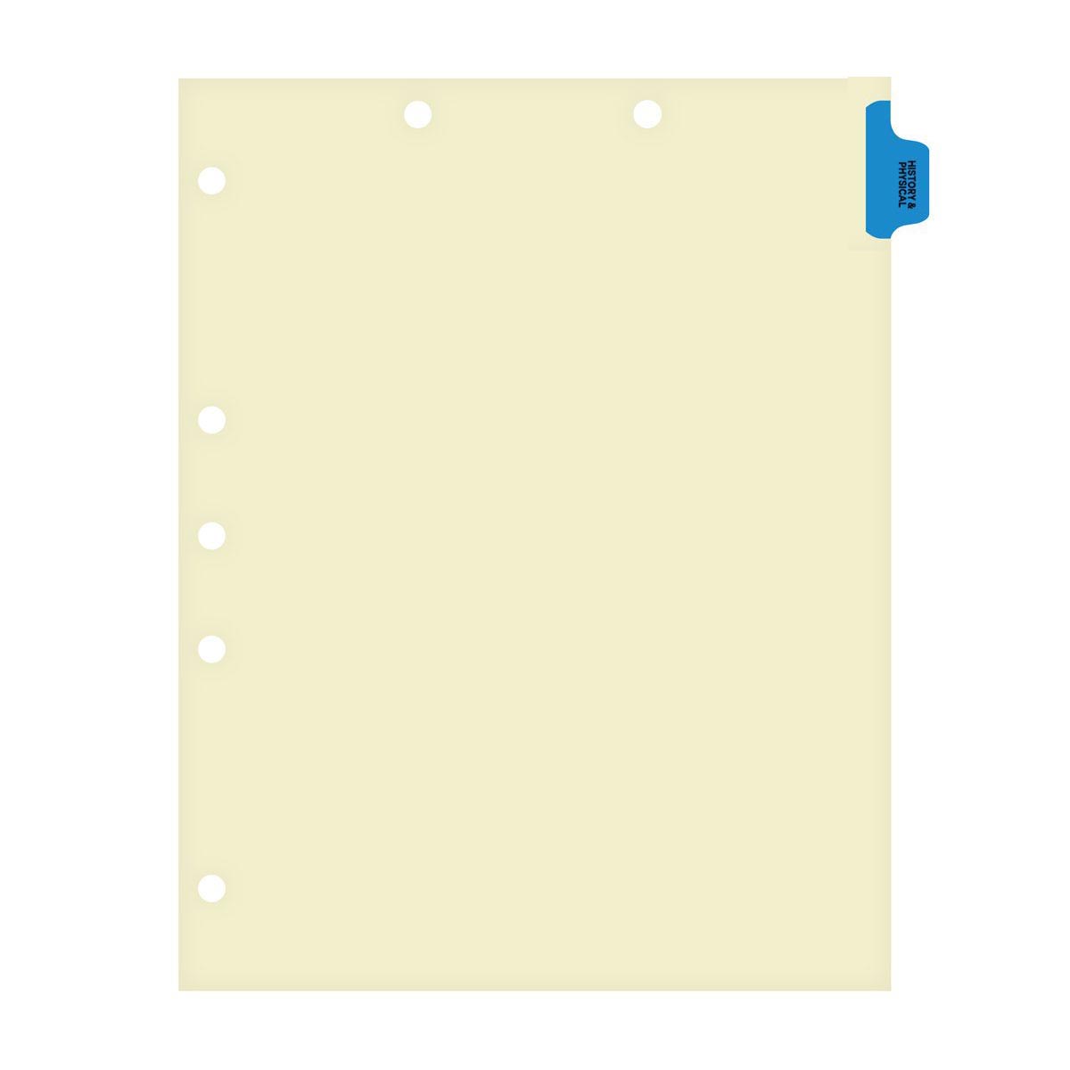 Individual Chart Dividers- Side Tab 1/6th Cut – Nationwide Filing Supplies