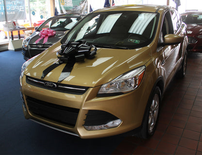 22 Inch Car Bow