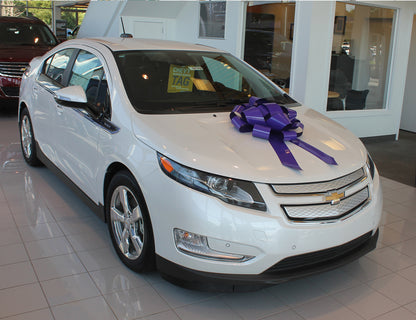22 Inch Car Bow