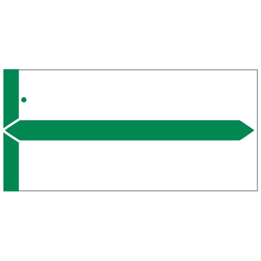 Green GBS Name Labels 1-1/2" x 3-1/8"- Pack of 500