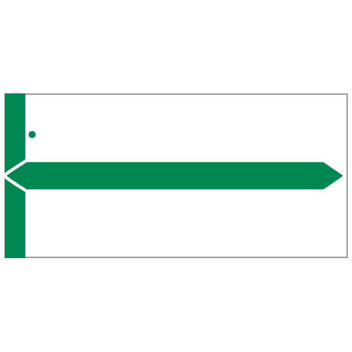 Green GBS Name Labels 1-1/2" x 3-1/8"- Pack of 1000