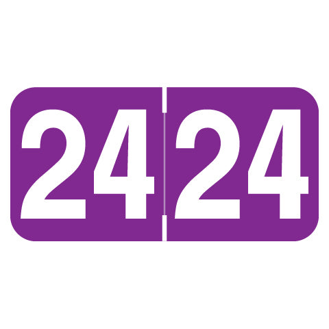 Ames Year 24 Labels, 3/4" X 1-1/2" Laminated- Roll of 500