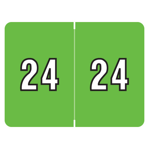 Datafile Year 24 Labels, 15/16" X 1-1/4" Laminated- Roll of 500