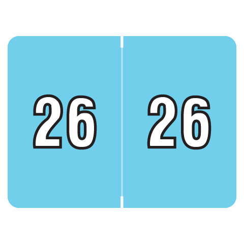 Datafile Year 26 Labels, 15/16" X 1-1/4" Laminated- Roll of 500