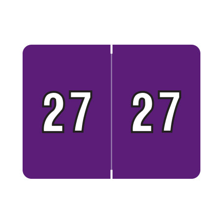 Datafile Year 27 Labels, 15/16" X 1-1/4" Laminated- Roll of 500