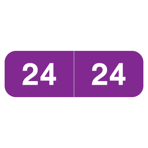Ames Year 24 Labels, 1/2" X 1-1/2" Laminated- Roll of 500
