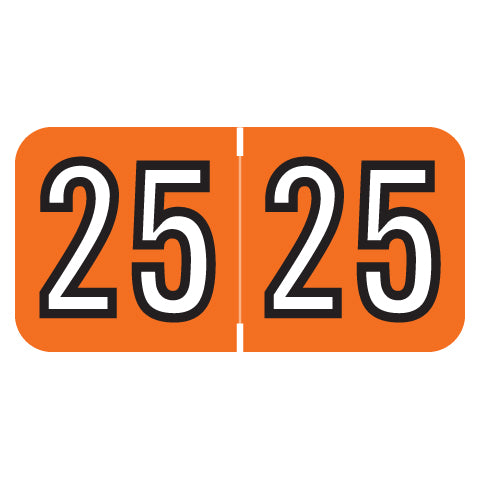 Amerifile Year 25 Labels, 3/4" X 1-1/2" Laminated- Roll of 500