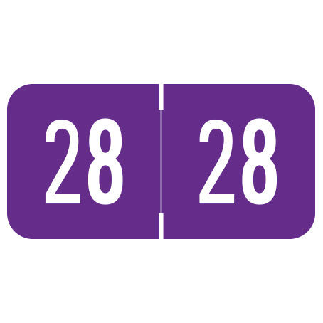 Digi Color Year 28 Labels, 3/4" X 1-1/2" - Roll of 500