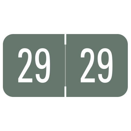 Digi Color Year 29 Labels, 3/4" X 1-1/2" - Roll of 500