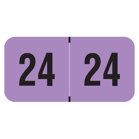 PMA Fluorescent Violet Year 24 Labels, 3/4" X 1-1/2" Laminated- Roll of 500