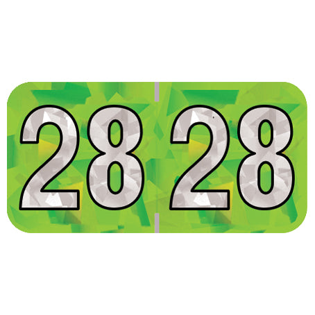 PMA Lime Holographic Year 28 Labels, 3/4" H x 1-1/2" W Laminated- Roll of 500