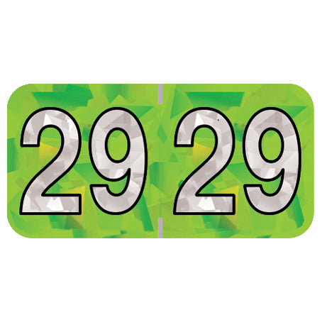 PMA Lime Holographic Year 29 Labels, 3/4" H x 1-1/2" W Laminated- Roll of 500