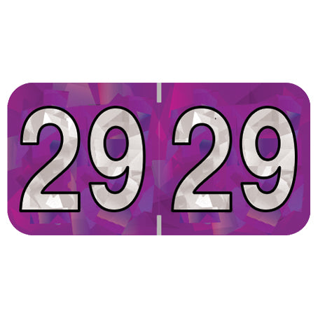 PMA Purple Holographic Year 29 Labels, 3/4" x 1-1/2" Laminated- Roll of 500