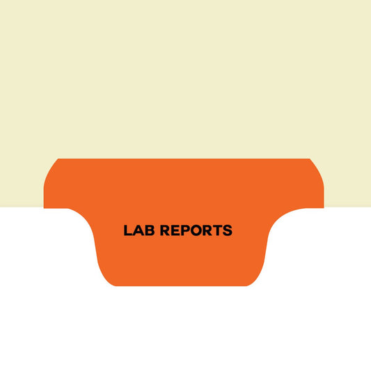 Individual Fileback Divider Tabs, Top Flap, Bottom Tabs, Lab Reports, Orange, 1/8th Cut, Pos #3 (Pack of 50