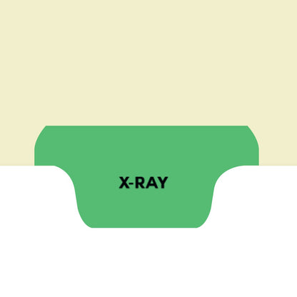 Individual Fileback Divider Tabs, Top Flap, Bottom Tabs, X-Ray, Light Green, 1/8th Cut, Pos #4 (Pack of 50)