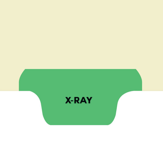 Individual Fileback Divider Tabs, Top Flap, Bottom Tabs, X-Ray, Light Green, 1/8th Cut, Pos #4 (Pack of 50)