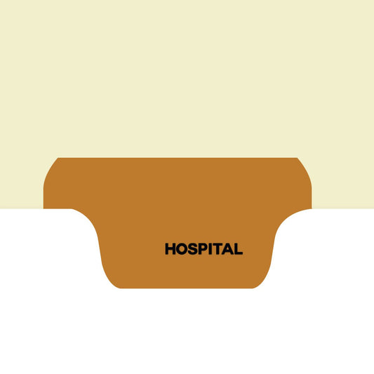 Individual Fileback Divider Tabs, Top Flap, Bottom Tabs, Hospital, Brown, 1/8th Cut, Pos #5 (Pack of 50)