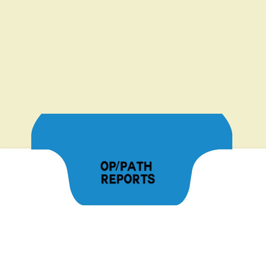 Individual Fileback Divider Tabs, Top Flap, Bottom Tabs, Op/Path Reports, Medium Blue, 1/8th Cut, Pos #3 (Pack of 50)