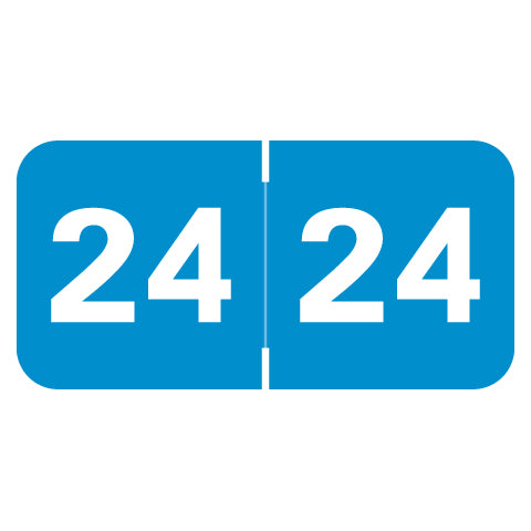 Medical Arts Press Year 24 Labels 3/4" X 1-1/2" Laminated- Roll of 500