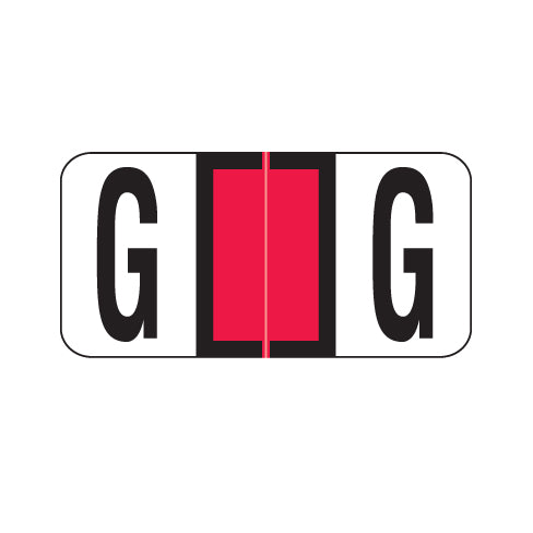 Reynolds & Reynolds Alpha G Labels 3/4" x 1-1/2" Laminated- Pack of 240