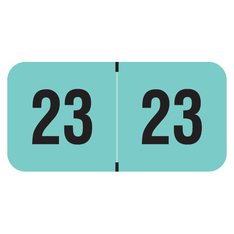 Reynolds & Reynolds Year 23 Labels, 3/4" X 1-1/2" Laminated- Pack of 270