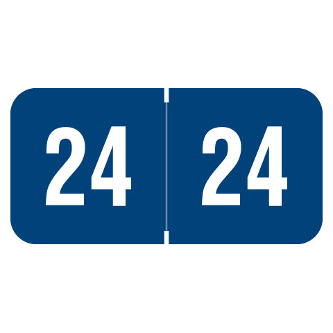 Reynolds & Reynolds Year 24 Labels, 3/4" X 1-1/2" Laminated- Pack of 270
