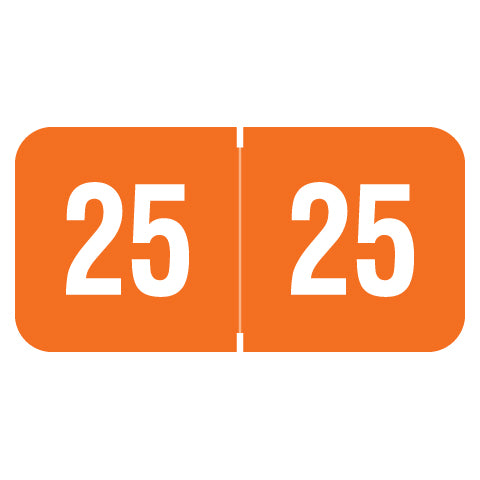 Reynolds & Reynolds Year 25 Labels, 3/4" X 1-1/2" Laminated- Pack of 270