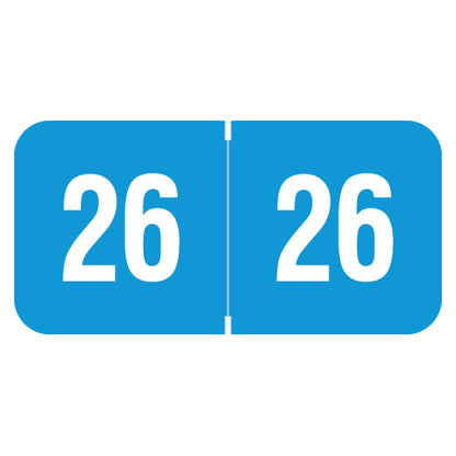 Reynolds & Reynolds Year 26 Labels, 3/4" X 1-1/2" Laminated- Pack of 270