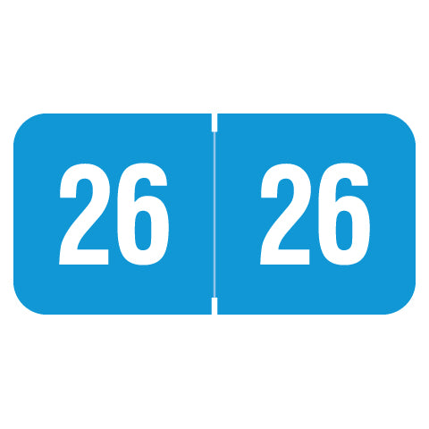Reynolds & Reynolds Year 26 Labels, 3/4" X 1-1/2" Laminated- Pack of 270