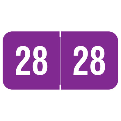 Reynolds & Reynolds Year 28 Labels, 3/4" X 1-1/2" Laminated- Pack of 270