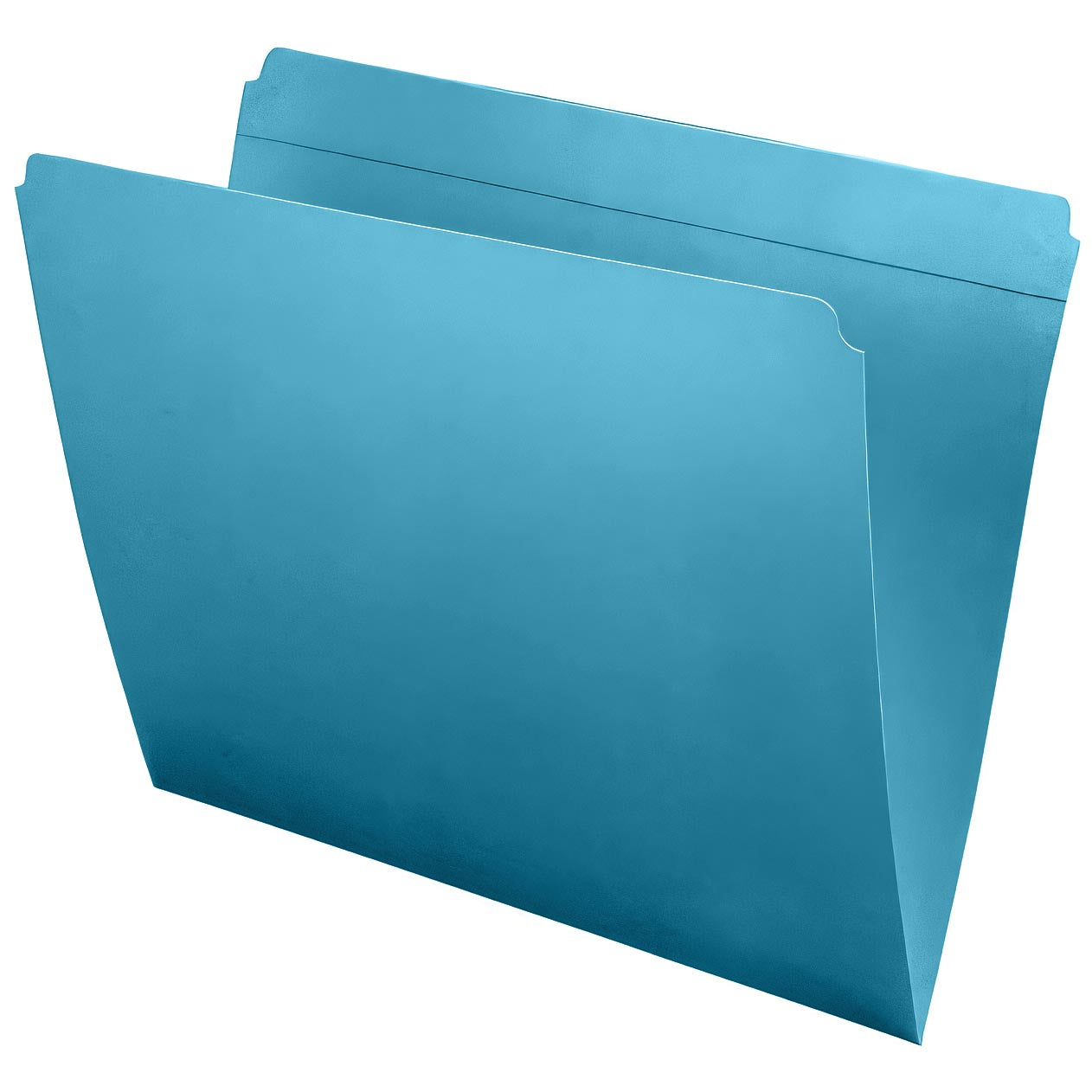 11 PT Colored Folders, Full Reinforced Top Tab, Letter Size (Box of 100)