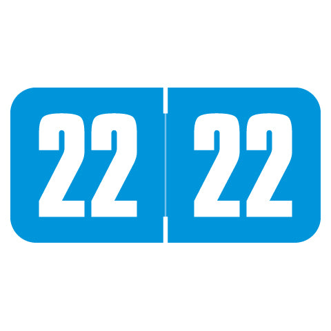Safeguard Year 22 Labels, 3/4" X 1-1/2" Laminated- Roll of 500