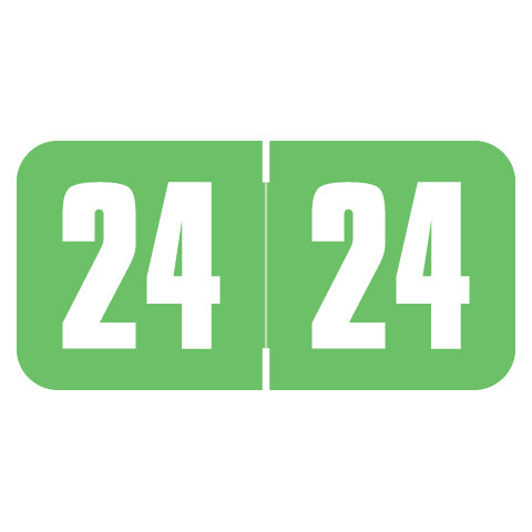 Safeguard Year 24 Labels, 3/4" X 1-1/2" Laminated- Pack of 270