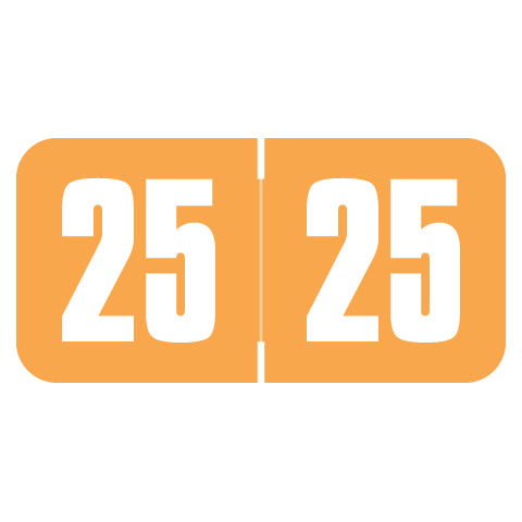 Safeguard Year 25 Labels, 3/4" X 1-1/2" Laminated- Pack of 270