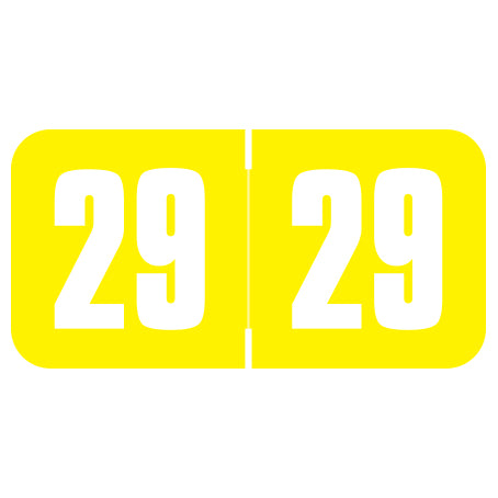 Safeguard Year 29 Labels, 3/4" X 1-1/2" Laminated- Roll of 500