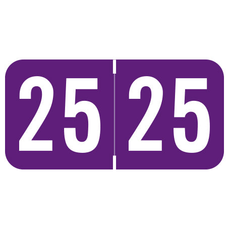 Sav-Tyme Year 25 Labels, 3/4" X 1-1/2" Laminated- Roll of 500