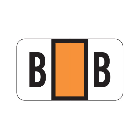 POS 2000 "B" Labels 15/16" X 1-5/8" Laminated- Ring Binder Pack of 240