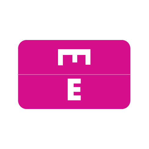 Smead ACCS "E" Labels 1-5/8" x 1" Laminated- Pack of 100